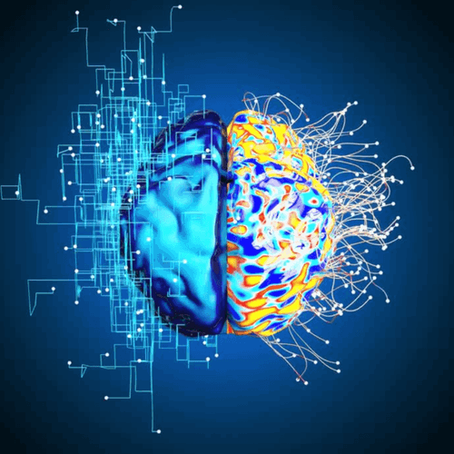 How Does Neuro Energizer Work?