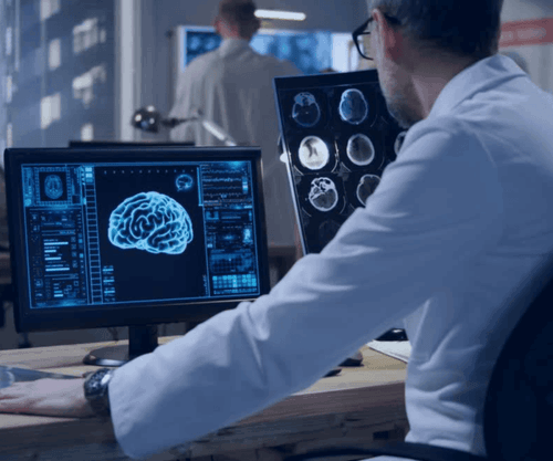 science behind neuro energizer